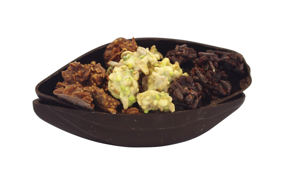 Cabosse Surprise Feuilles De Houx fait maison à Caen